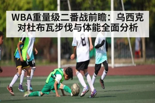WBA重量级二番战前瞻：乌西克对杜布瓦步伐与体能全面分析