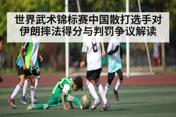 世界武术锦标赛中国散打选手对伊朗摔法得分与判罚争议解读